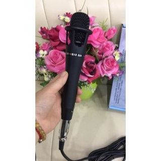 Mic hát có dây E300