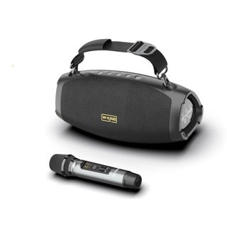 W-King D10 Plus, Công Suất 60W Kèm 1 Micro