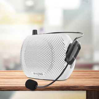 LOA TRỢ GIẢNG W-KING có dây  KS05.