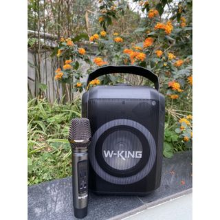 LOA BLUETOOTH W-KING T9S (Kèm 1 Micro không dây) mới nhất 2021.