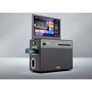 LOA BLUETOOTH KARAOKE W-KING V5 New 2022 (Màn hình cảm ứng Android, 2 Micro không dây)