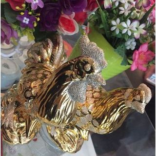 cặp Gà vàng trống mái