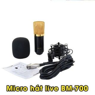 Micro thu âm, hát live BM-700 chính hãng - BM700