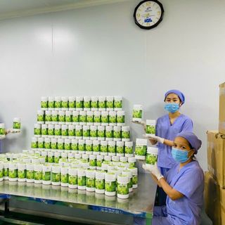 Bột rau má đậu xanh cần tây