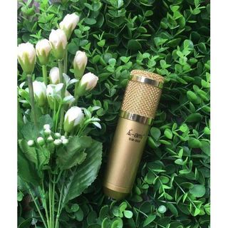 Micro thu âm AMI BM 900 chuyên nghiệp