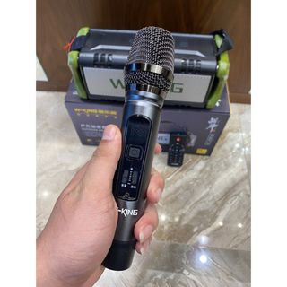 Loa Bluetooth W-King D8M Kèm 1 Micro Không Dây Cao Cấp