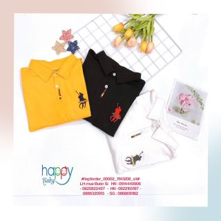 💞 Hàng sỉ HN 💞 ÁO CỔ BẺ BÉ TRAI , Vải Cotton 4C mềm đẹp, rất nhẹ và mát, thấm mồ hôi , #top1order_00002_11141208_s1# giá sỉ