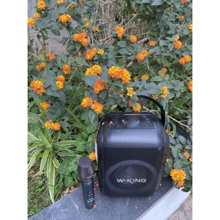 LOA BLUETOOTH W-KING T9S (Kèm 1 Micro không dây) mới nhất 2021.