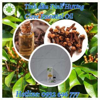 Tinh dầu Đinh Hương Clove essential oil Thơm Phòng - 50ml giá sỉ