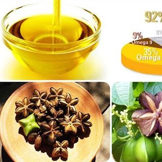 Dầu Sachi cao cấp giá sỉ tại Đắk Lắk