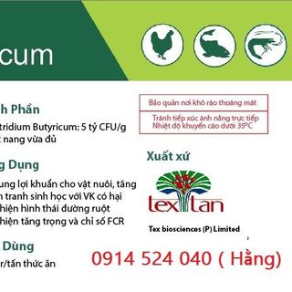 𝐂𝐥𝐨𝐬𝐭𝐫𝐢𝐝𝐢𝐮𝐦 𝐁𝐮𝐭𝐲𝐫𝐢𝐜𝐮𝐦- nông to đường ruột giá sỉ