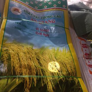 Bao lúa giống 40kg in sẵn tên lúa và ngày theo yêu cầu giá sỉ