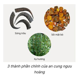An Cung Ngưu Hoàng Hoàn KWANGDONG Hộp Đỏ 10 viên Chống Đột Quỵ Hàn Quốc Nhập khẩu chính hãng