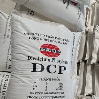 DCP (Dicalcium photphat)