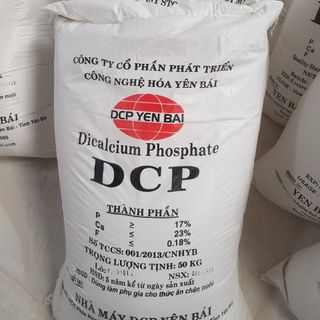 DCP (Dicalcium photphat)