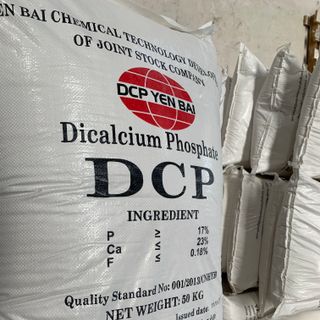 DCP (Dicalcium photphat)
