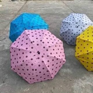 Ô gấu nhiều màu che gấp nhỏ gọn