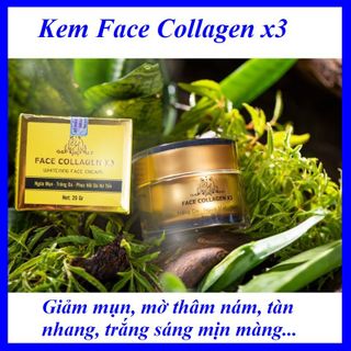 Kem Face Collagen X3 chính hãng Cty Mỹ Phẩm Đông Anh Nguyễn Huỳnh Như giá sỉ