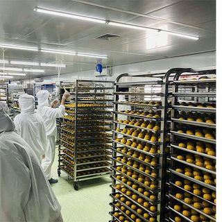 Bánh trung thu LAVA MOON CAKE trứng chảy nội địa Trung