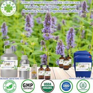 Tinh dầu Hoắc Hương Patchouli essential oil giúp thư giãn - 10ml