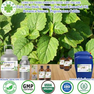 Tinh dầu Hoắc Hương Patchouli essential oil giúp thư giãn - 10ml
