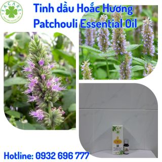 Tinh dầu Hoắc Hương Patchouli essential oil giúp thư giãn - 10ml