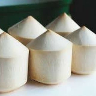 Sản phẩm từ Dừa