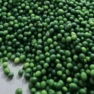 Chanh Không Hạt Long An