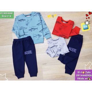 R240046M - Bộ nỉ da cá, bé trai, bo gấu in cá mực, size 2t-6t, ri5, nhà phân phối Vkids giá sỉ