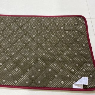 Thảm chùi chân ĐỎ 40x60cm, xuất Nhật