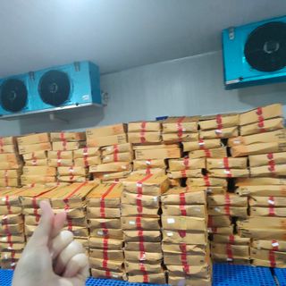 ĐÙI GÀ DAI HQ THÙNG 10KG