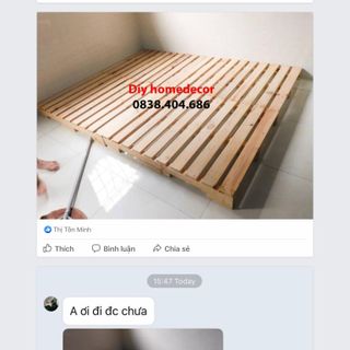 Giường gỗ thông pallet