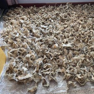 Tổ Yến Tinh Chế 100g