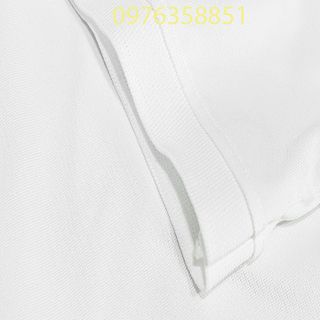 Áo polo nam  thêu logo polo hoặc cá sấu