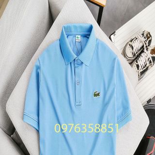 Áo polo nam  thêu logo polo hoặc cá sấu