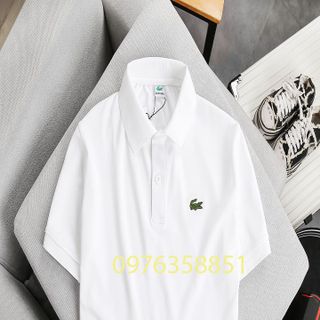 Áo polo nam  thêu logo polo hoặc cá sấu
