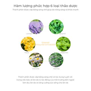 Tinh chất trị nám Vita-rise Ampoule Dr.Hedison 10ml*6