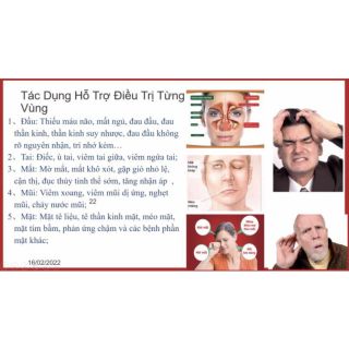Tinh dầu bách tiêu đan hộp 50 ống