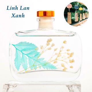 Tinh dầu nước hoa để phòng