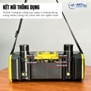 Loa Bluetooth Karaoke YS228 - Âm Bass Cực Chắc Kèm 2 Micro Không Dây