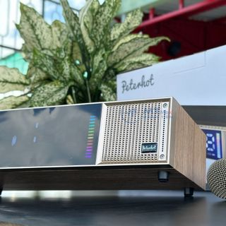 Loa Karaoke Peterhot A133 - Tặng Kèm 2 Micro Không Dây, Karaoke, Chơi Nhạc, Trang Trí, Bass Căng, 1 Đổi 1 Trong Vòng 7 Ngày