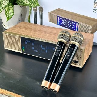 Loa Karaoke Peterhot A133 - Tặng Kèm 2 Micro Không Dây, Karaoke, Chơi Nhạc, Trang Trí, Bass Căng, 1 Đổi 1 Trong Vòng 7 Ngày