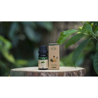 Lọ 10ml Tinh Dầu Thiên Nhiên Nguyên Chất Nhiều Mùi Thơm Phòng Giúp Bạn Thư Giãn Sảng Khoái Mỗi Ngày
