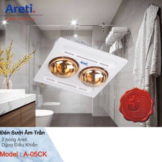 Đèn sưởi âm trần 2bóng.