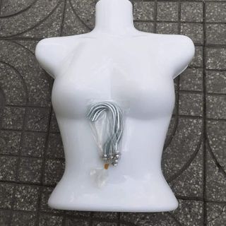 Máng nhựa ngắn- móc nhựa treo giá sỉ.