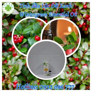 Tinh dầu Lộc Đề Xanh Wintergreen essential oil khử mùi tự nhiên - 10ml giá sỉ