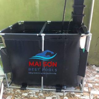 Bể Bạt Nuôi Cá - Không Chia Ngăn Lọc Mai Sơn