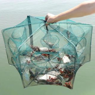 Lồng bắt cá loại 20 cửa