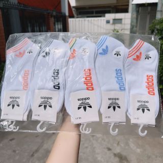 Tất cổ ngắn hoạt hình lố 10 đôi
