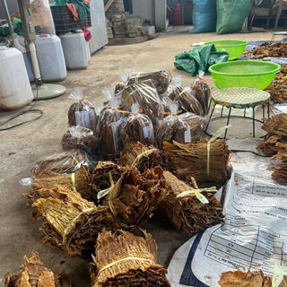 Măng mầm